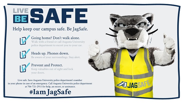 Jaguar Safety Campaign Poster