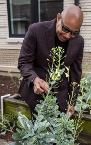 a man stands over a vegetable garden