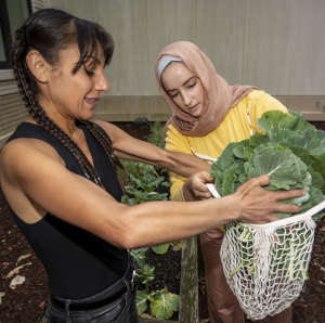 two women place a leafy vegetable into a white mesh bag