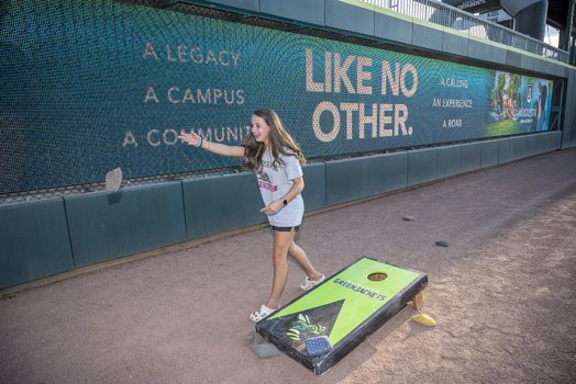 People at ballpark