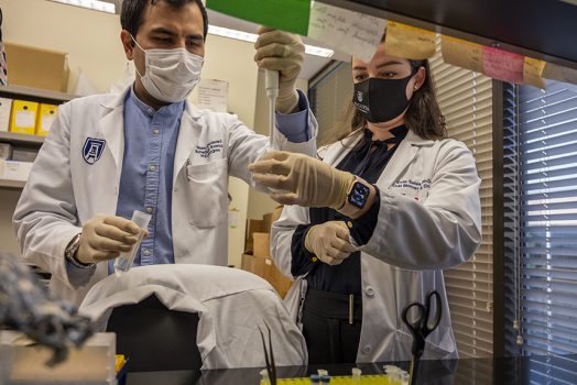 Two people working in lab