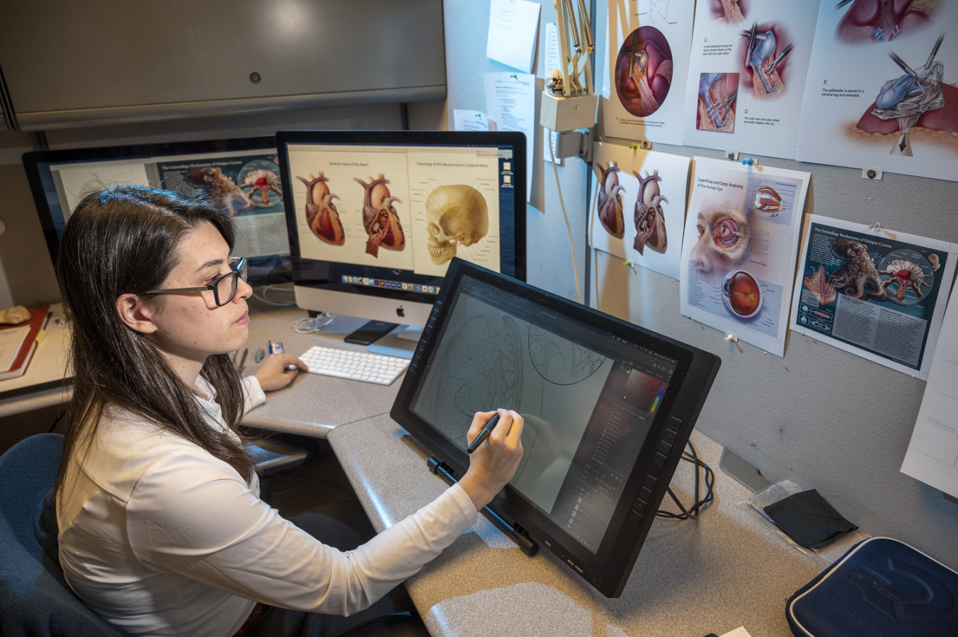 Medical Illustration Grad Students Receive Awards From Association Of ...