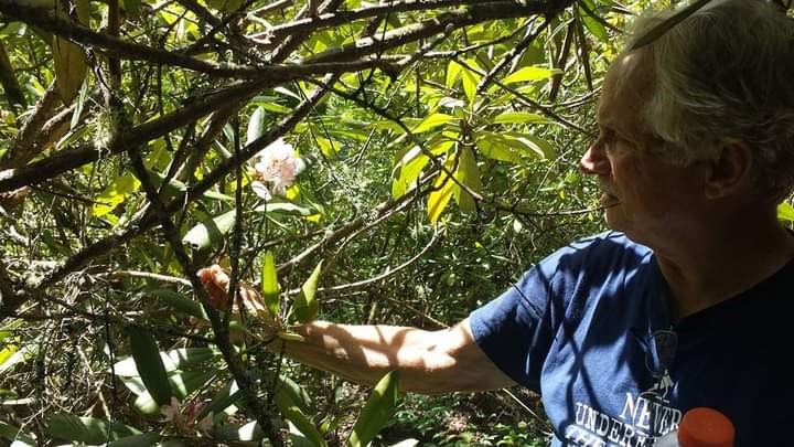 man in blue shirt outside, next to branches