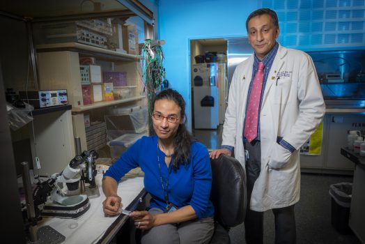 Woman in blue shirt sitting at lab bench while man in white coat and pink tie stands behind her