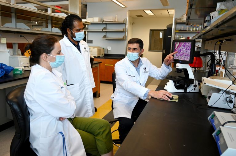 People looking at an image from a microscope