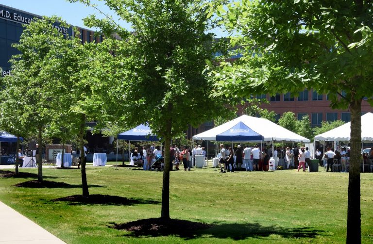 tents of people on lawn