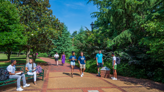 students on campus, surrounded by trees