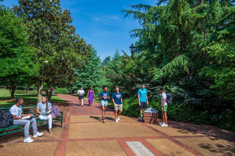students on campus, surrounded by trees