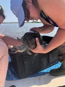 Woman with terrapin