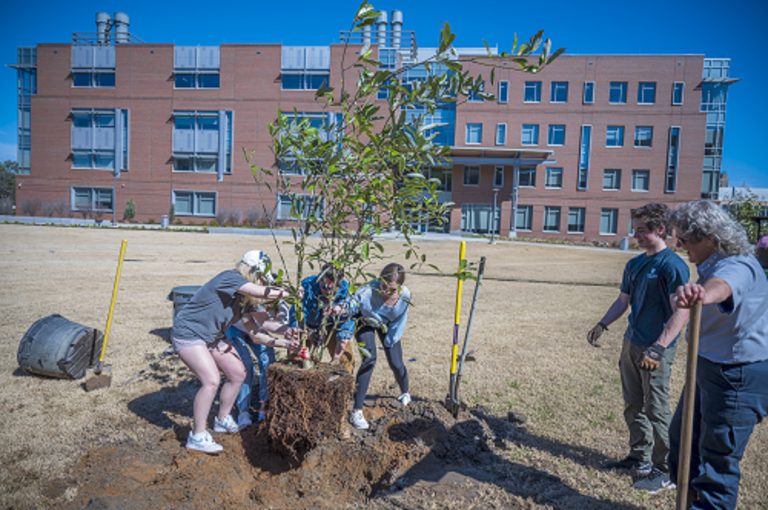People planting trees