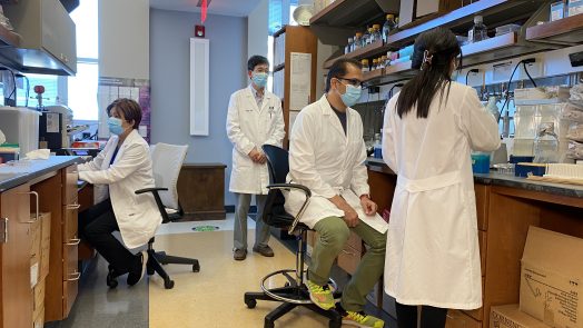 People working in a resarch lab