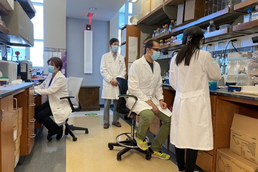 People working in a resarch lab