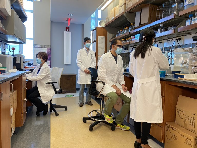 People working in a resarch lab