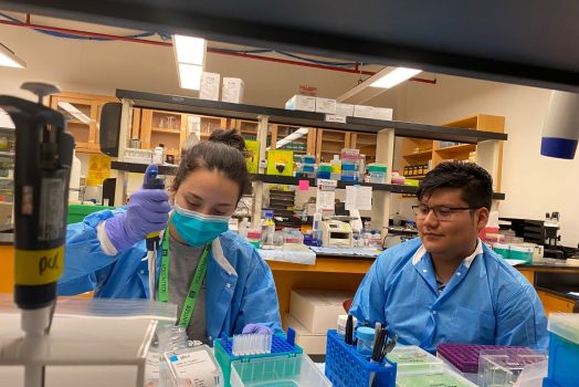 two people working in a lab