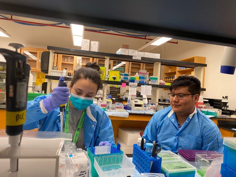 two people working in a lab