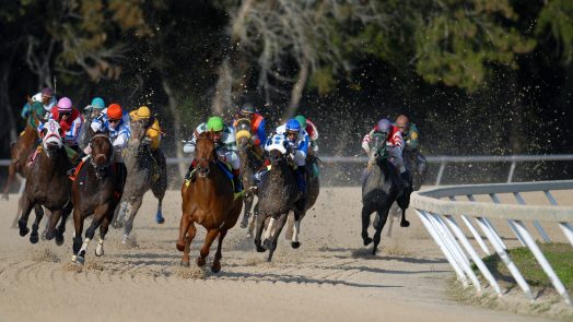 horses racing