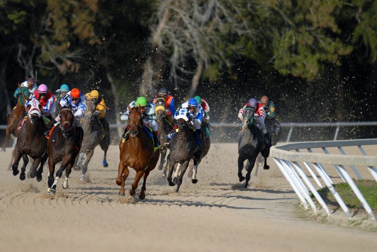 horses racing