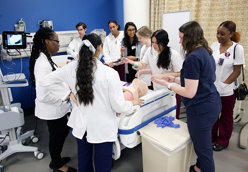 Men and women learning in medical environment