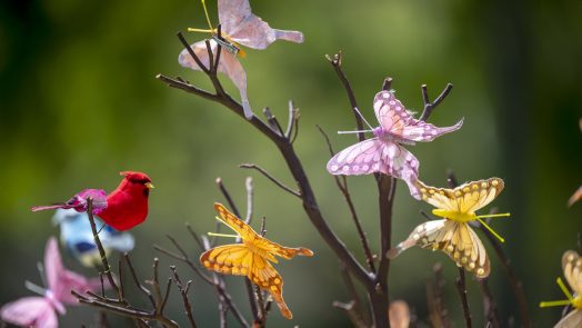 artwork of a cardinal and several colorful butterflies on a brown tree