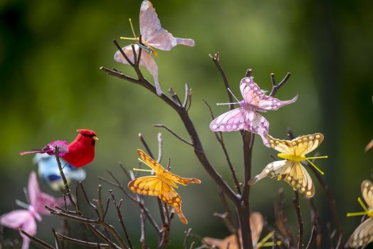 artwork of a cardinal and several colorful butterflies on a brown tree