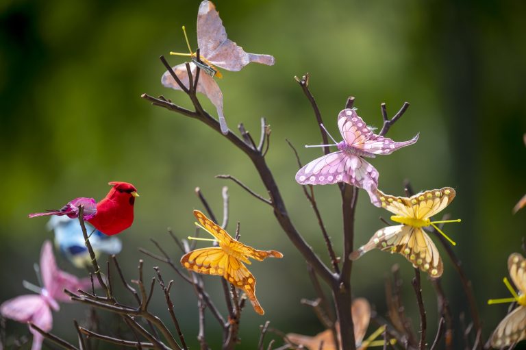 artwork of a cardinal and several colorful butterflies on a brown tree