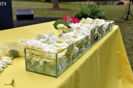 white daisies in square bowls of water