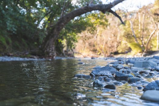 river