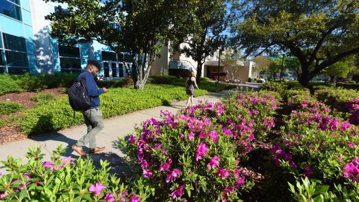 male and female students walking on college campus