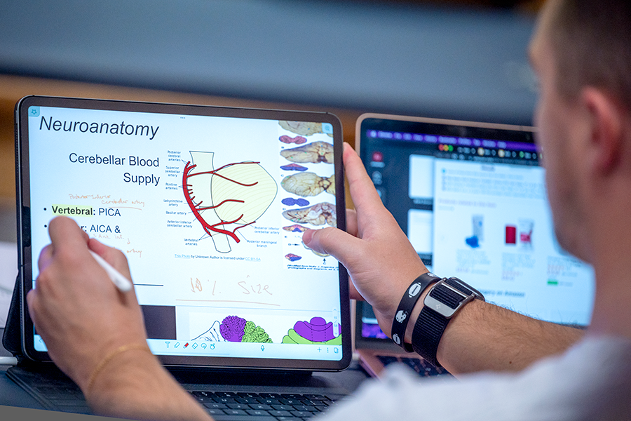 male student uses a stylus to take notes about charts illustrating parts of the brain on a tablet 