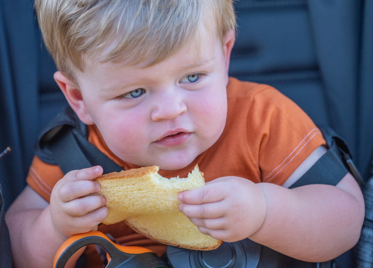 boy in stroller eating bread