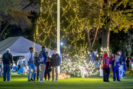 crowd gathered around lighted tree
