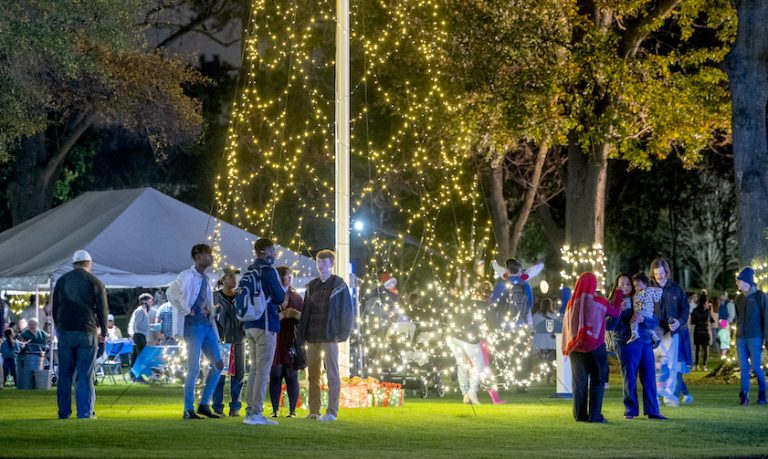 crowd gathered around lighted tree