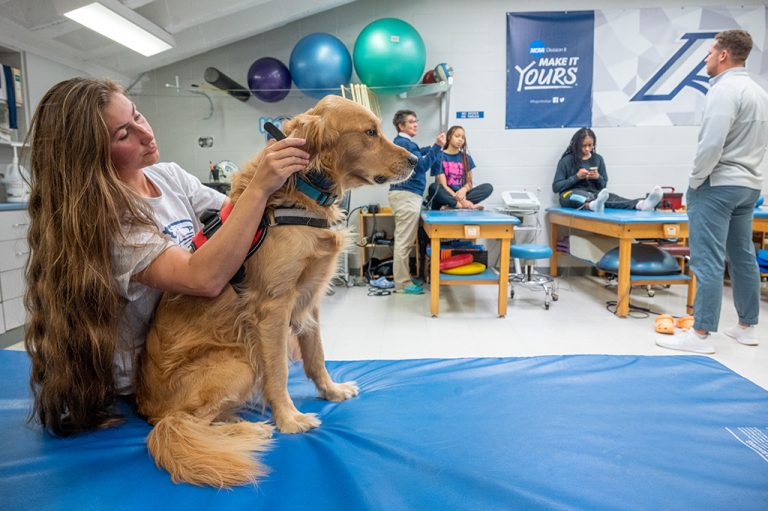 Woman grooming dog with people in background