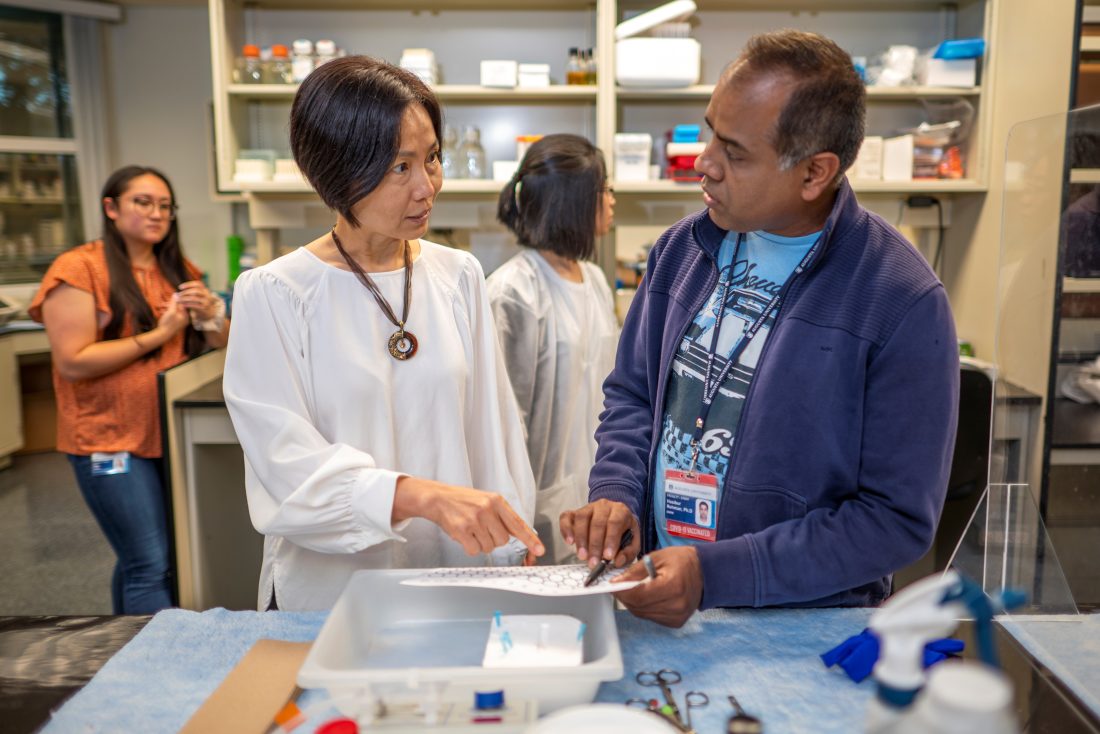 Woman in white shirt talks with man in blue jacket in lab