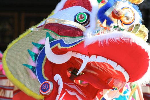 Dragon costume for Chinese New Year