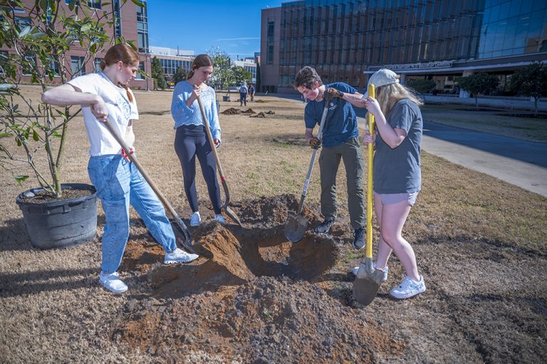 Students planting trees