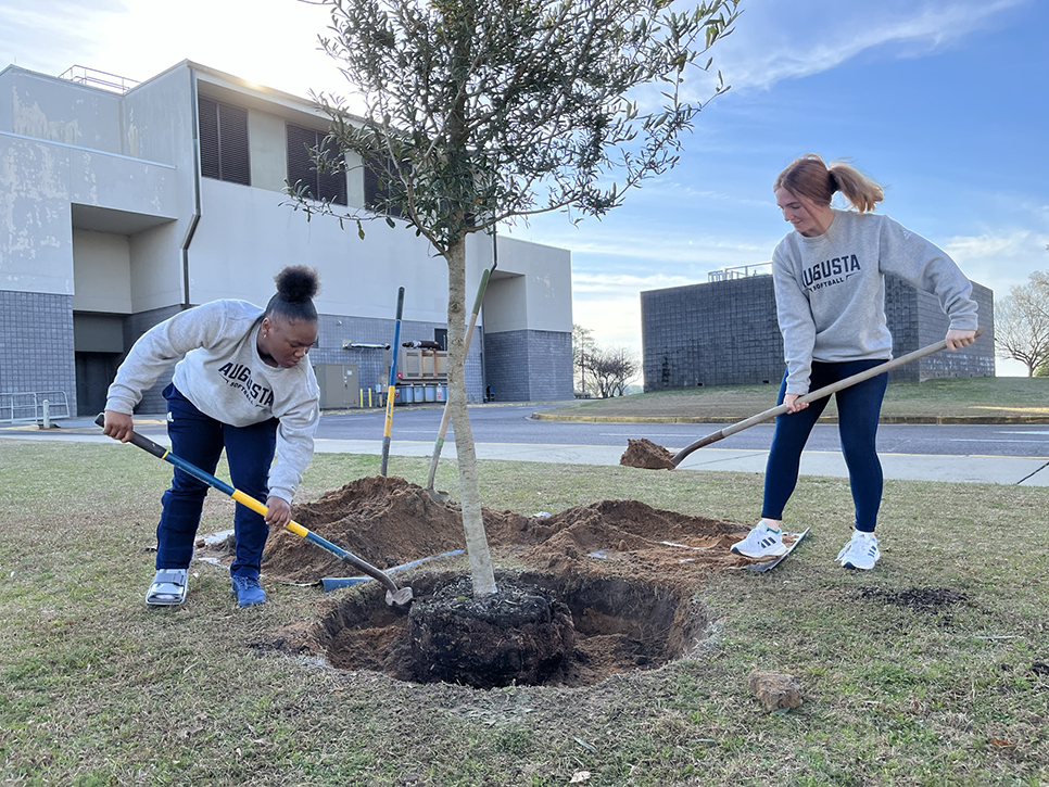 Two women planting trees