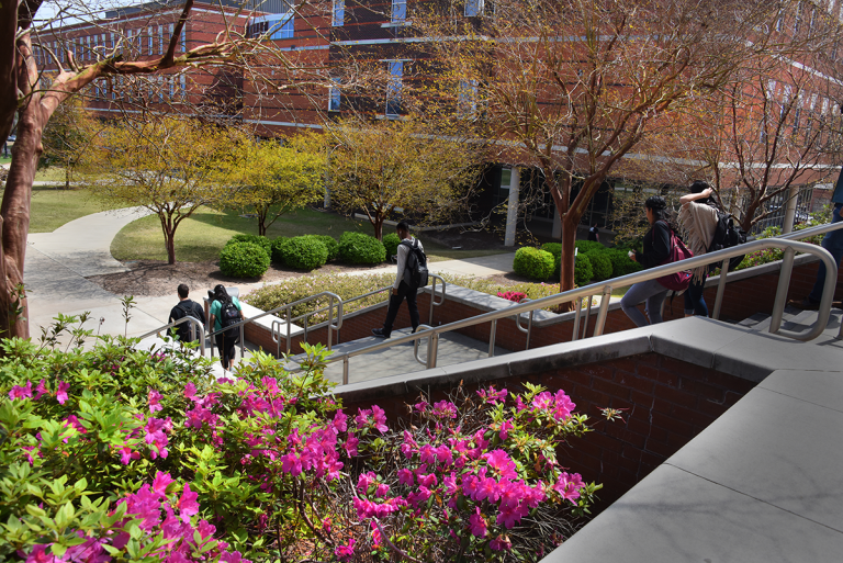 college campus with flowers blooming