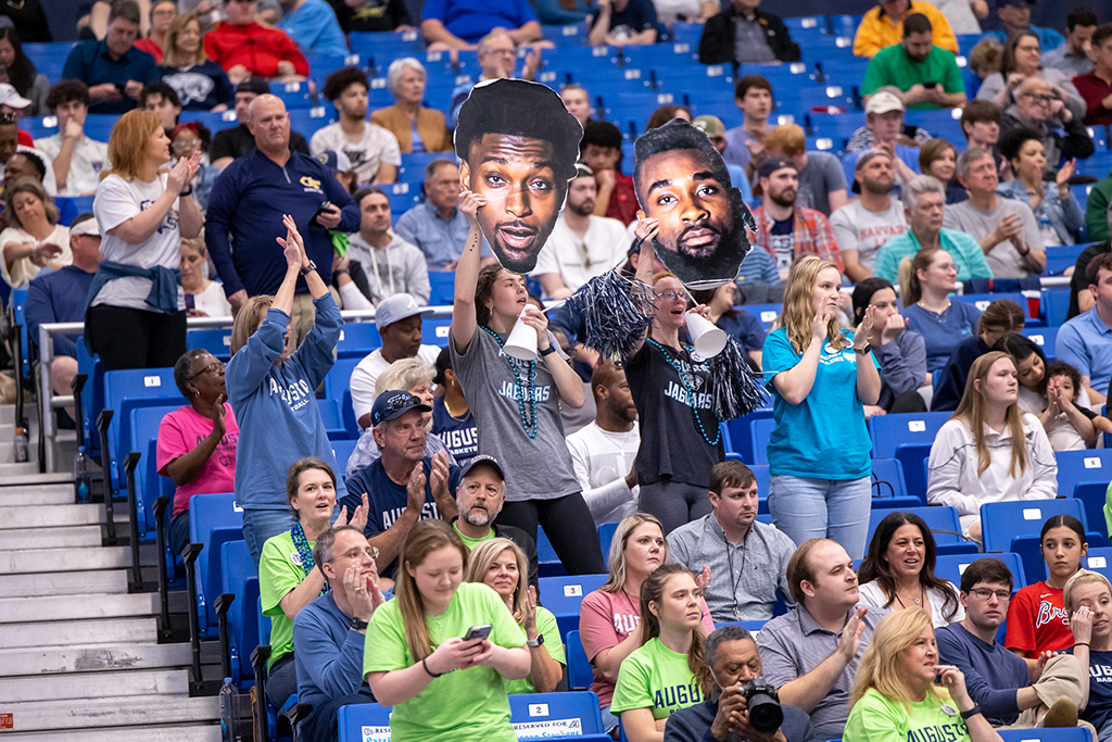 Fans cheering in the stands