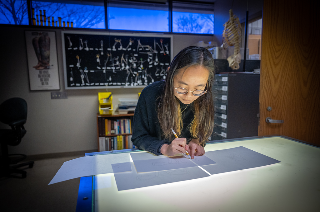 A woman stands at a drawing table sketching.