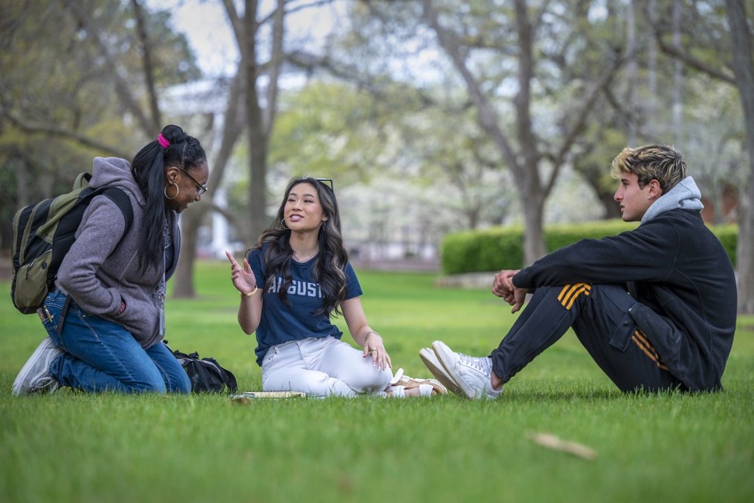 college students sitting on a lawn and talking