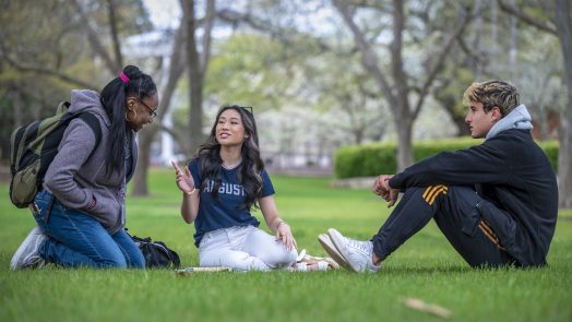 college students sitting on a lawn and talking