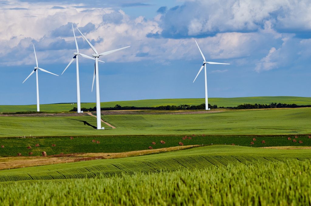 wind turbines in a field