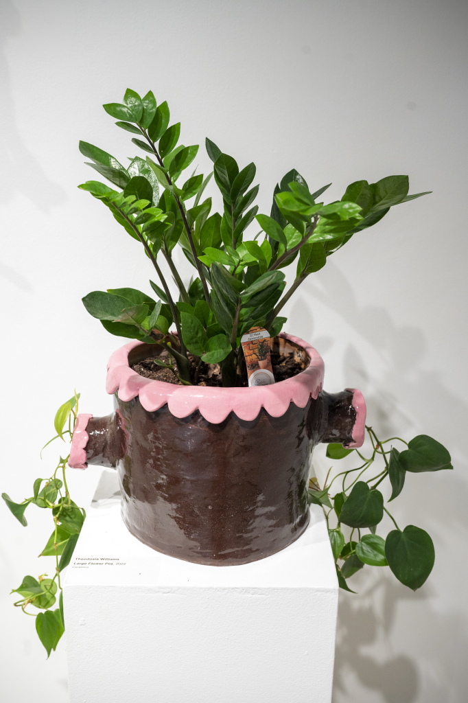 Handmade clay pot with a plant in it