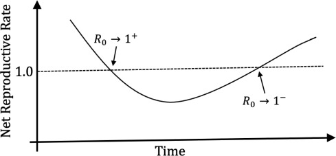 A chart depicting net reproductive rate over time.