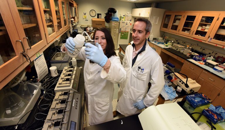 Woman with gloves pours liquid into beaker while man looks on