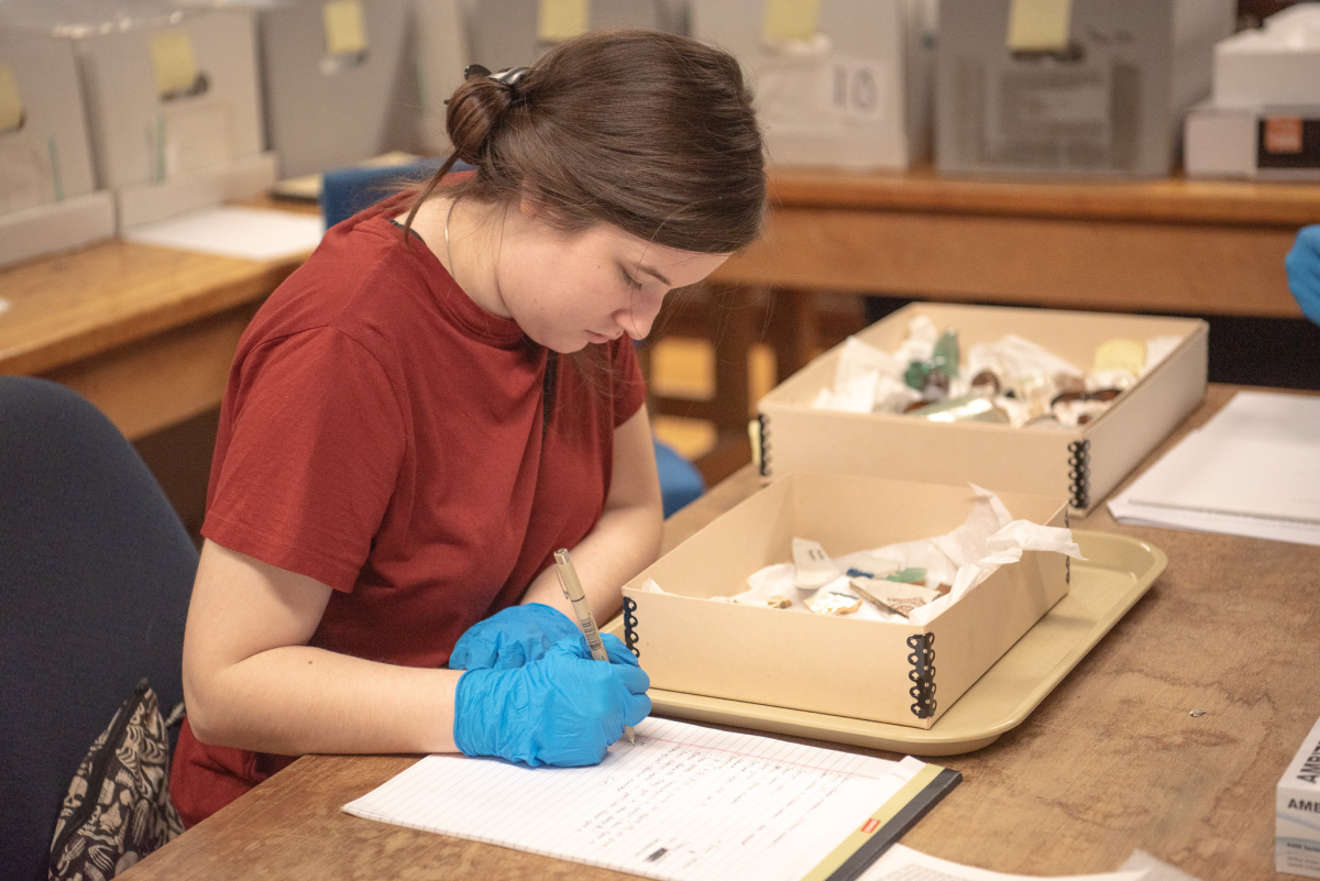 Internships are key to success for students who seek a career in