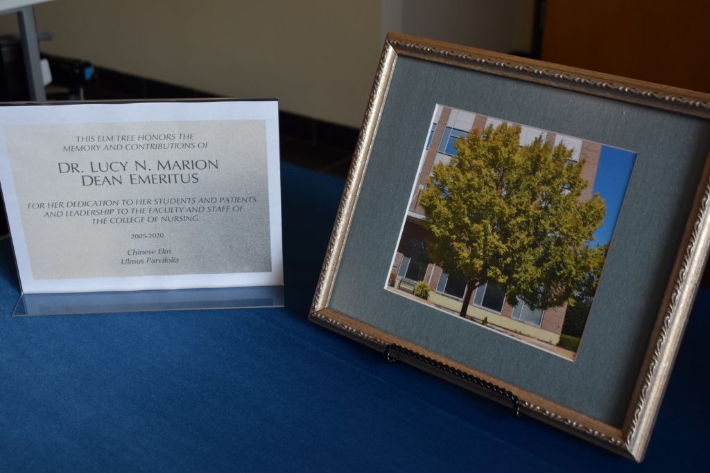 Framed picture of tree and plaque