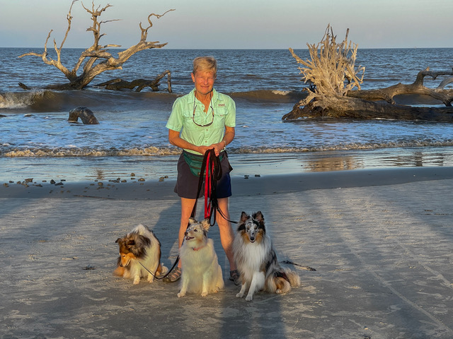 woman poses with three dogs on the beach