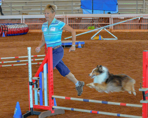 Woman runs with her dog as it hurdles over a jump